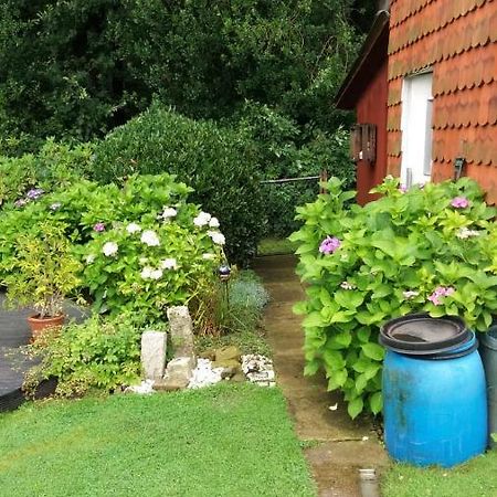 Ferienwohnung Im Waldwinkel Stadthagen Luaran gambar